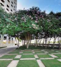 This link leads to a more panoramic images of taken with a Canon S95.