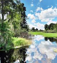 This link leads to a panoramic image of Lettuce Lake Park in Tampa. The photographic images were shot with a Canon S95.